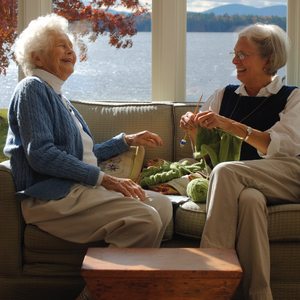 Image - Seniors_.jpg